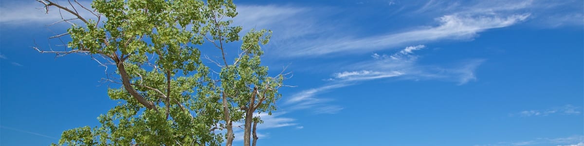 Muskegon State Park featuring a beach and general coastal views