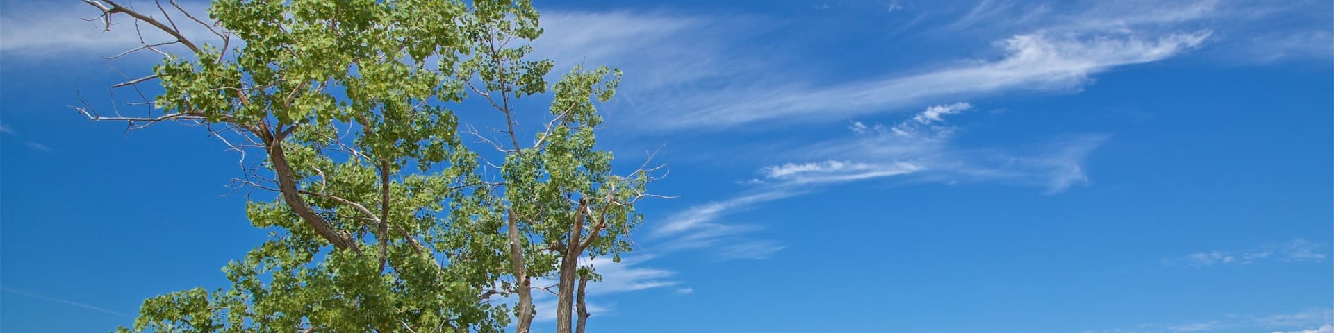 Muskegon State Park featuring a beach and general coastal views