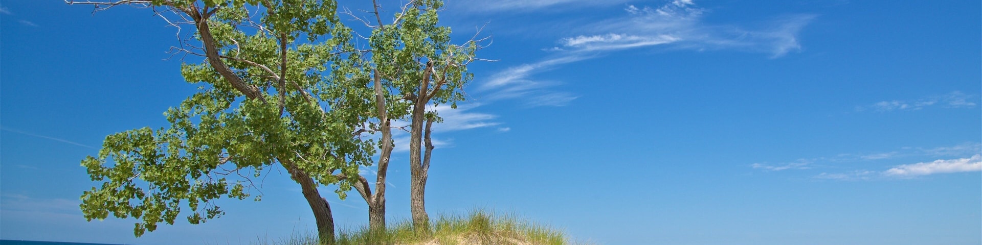 Muskegon State Park featuring a beach and general coastal views
