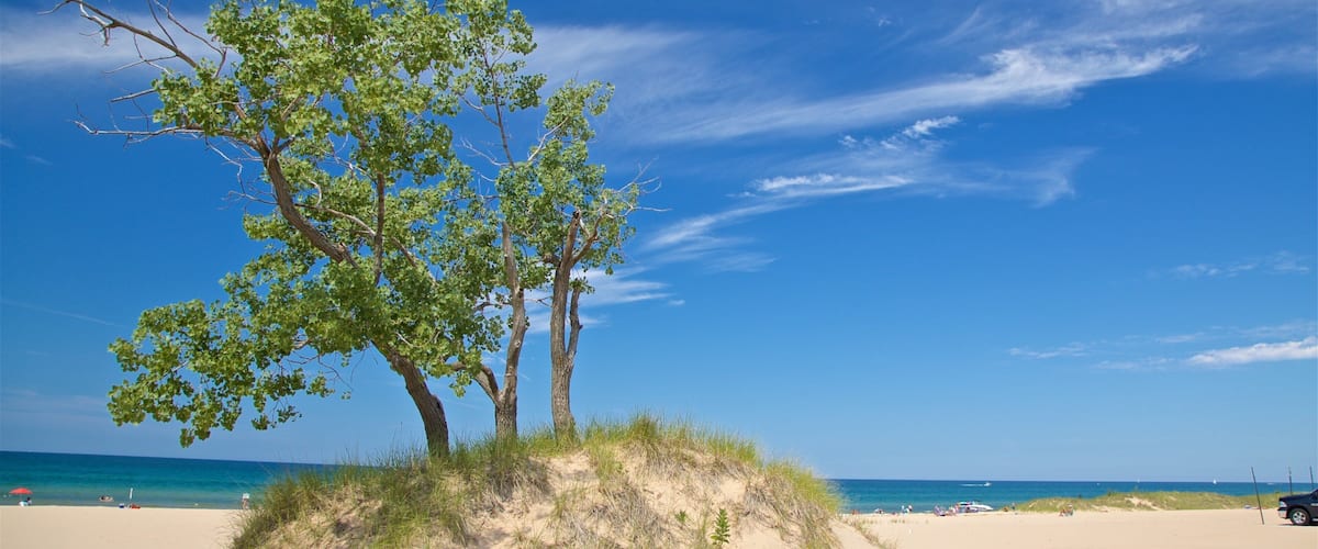 Muskegon State Park showing a sandy beach and general coastal views