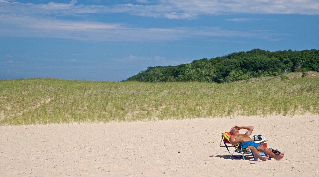 Muskegon State Park que inclui uma praia e paisagens litorâneas assim como um homem sozinho