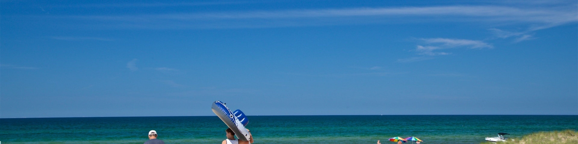 Muskegon State Park featuring a sandy beach and general coastal views as well as a couple
