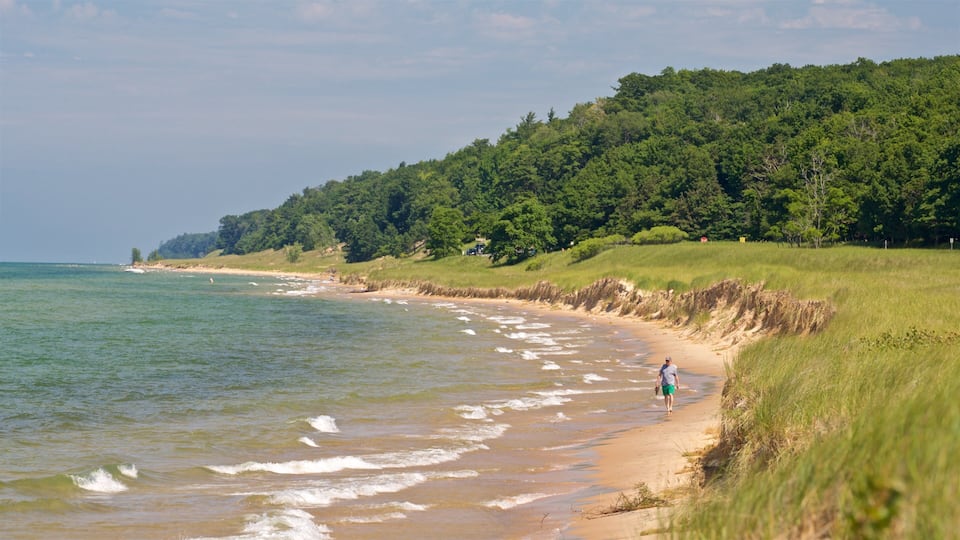 Muskegon State Park which includes a sandy beach and general coastal views as well as an individual male