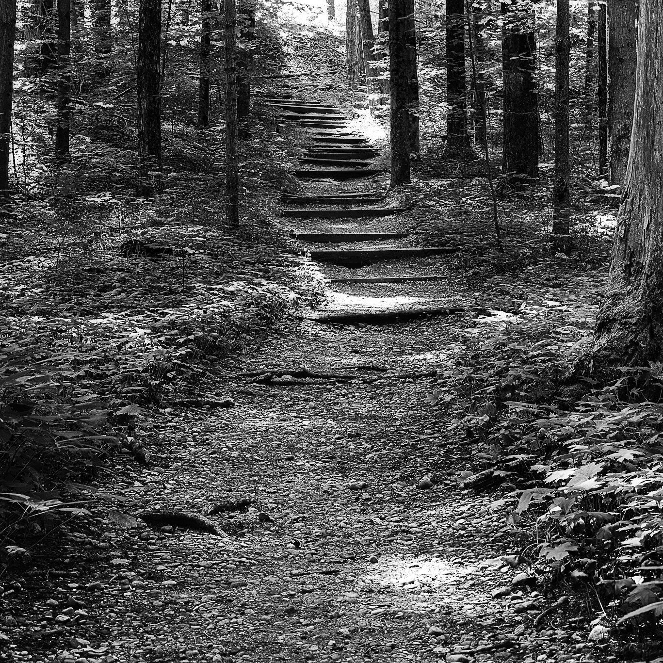 Lots of good trails to hike at the Nature Center.