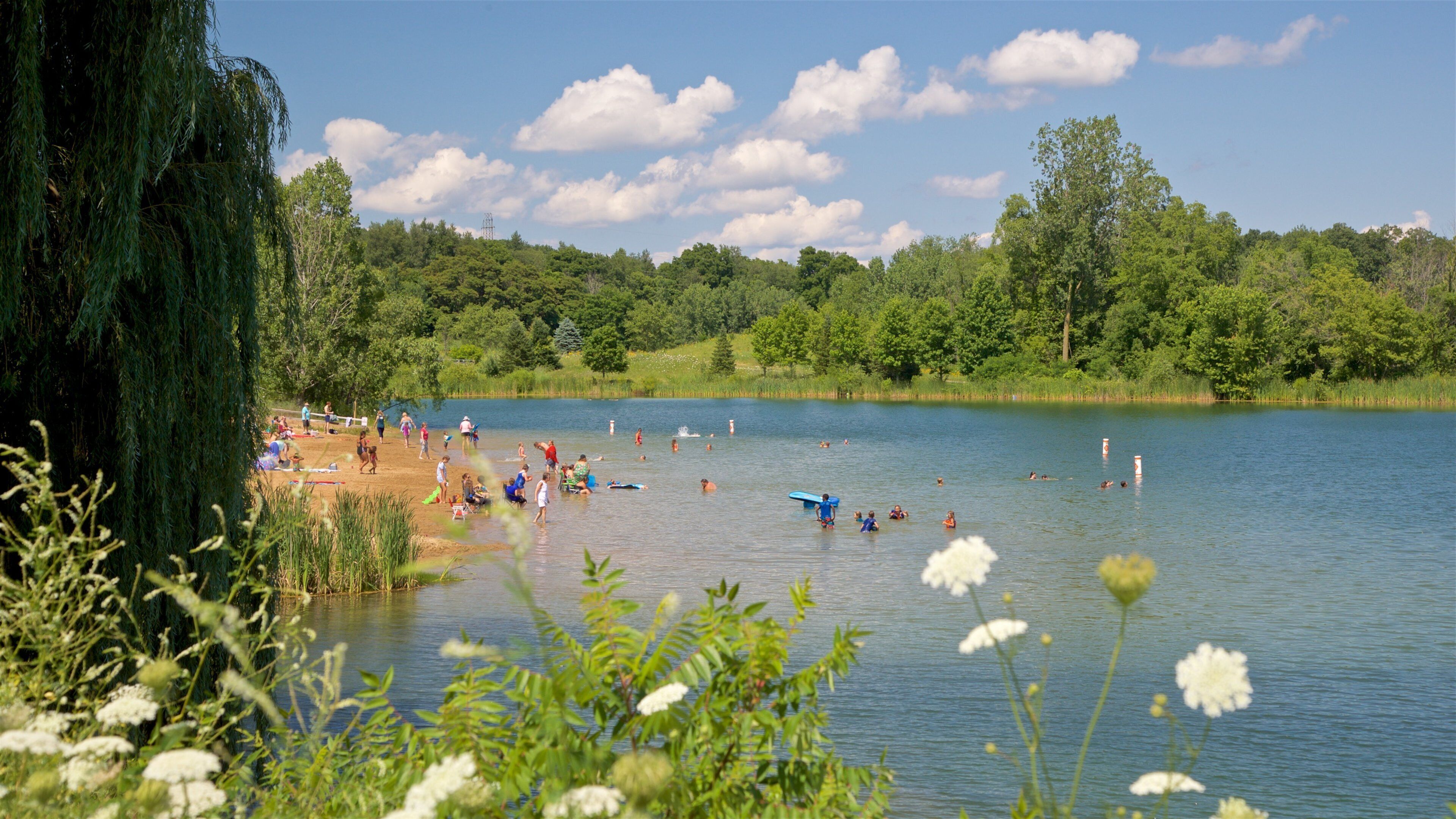 Markin Glen County Park ofreciendo natación y un lago o abrevadero y también un pequeño grupo de personas