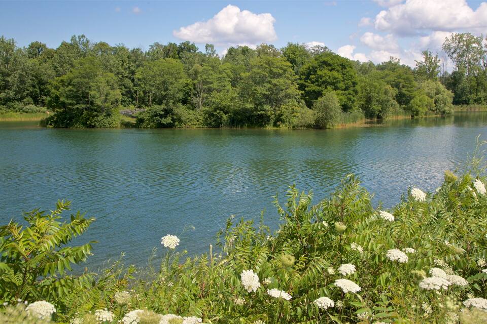 Un lac paisible, entouré d’arbres verdoyants et de fleurs blanches au premier plan.