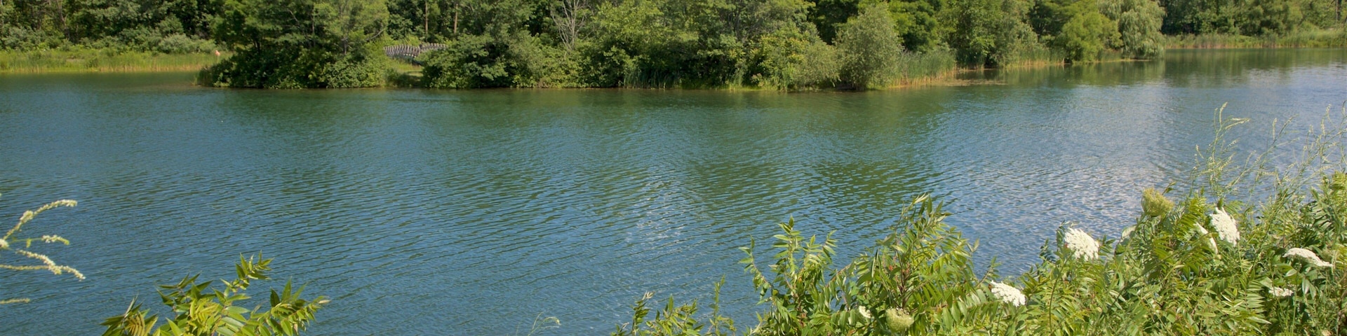 Markin Glen County Park que inclui flores silvestres e um lago ou charco