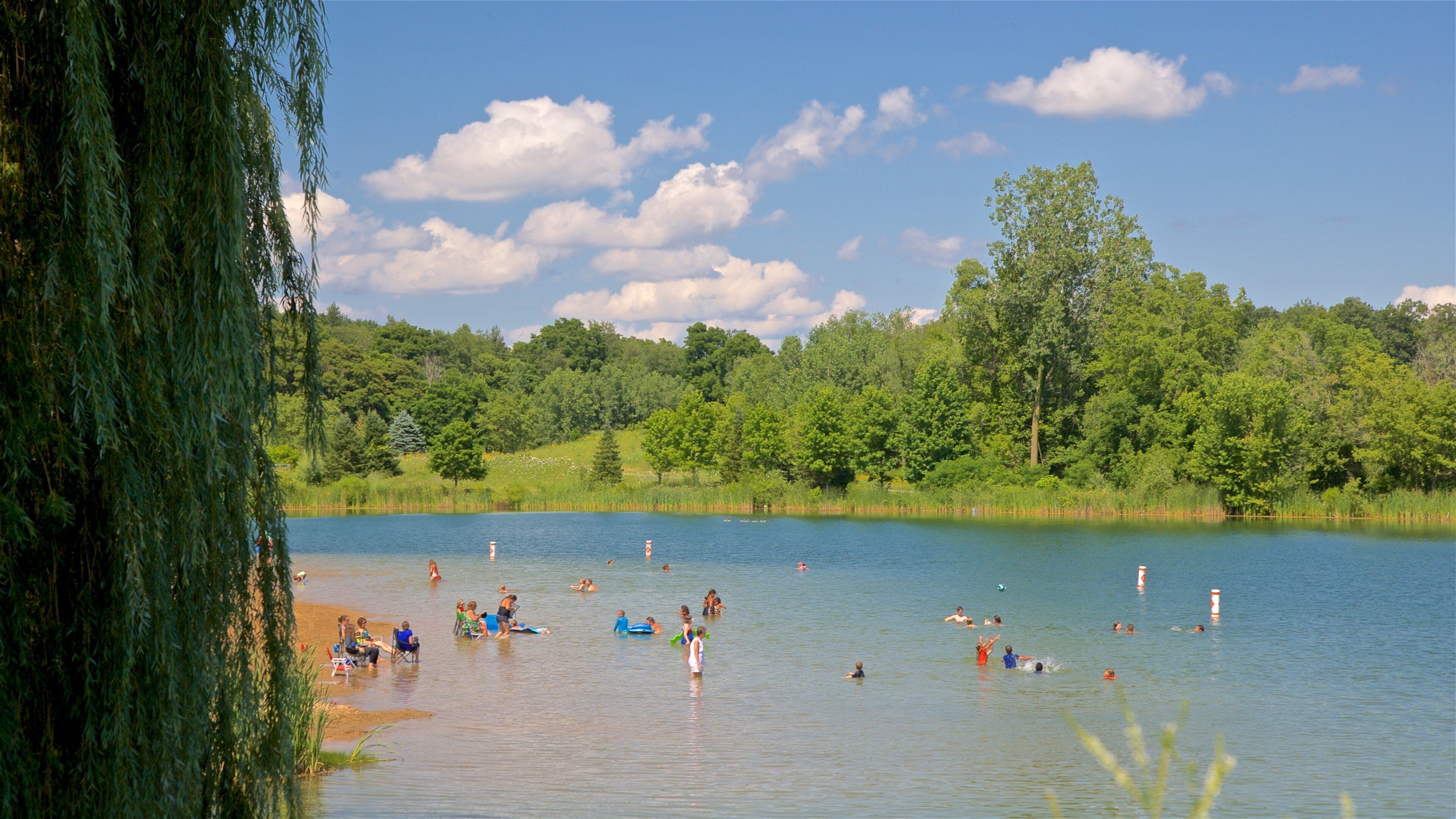 Markin Glen County Park mostrando lago o sorgente d\'acqua e nuoto cosi come un piccolo gruppo di persone