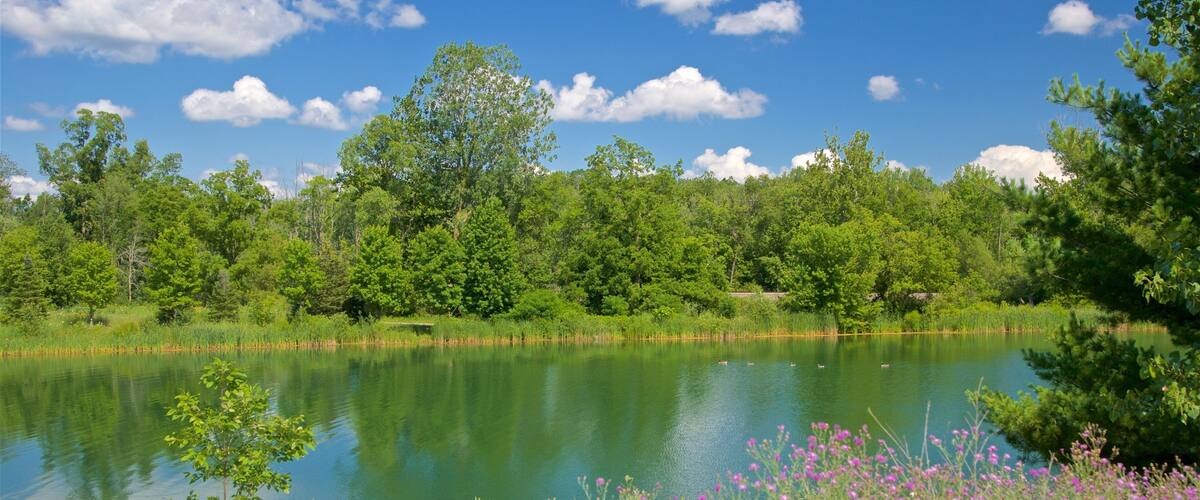 Markin Glen County Park which includes wildflowers and a lake or waterhole