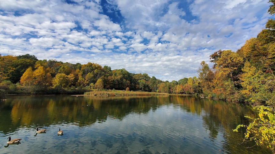 Falling Waters Trail