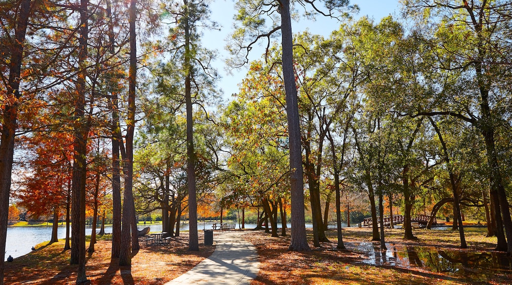 Centro Natural Harris