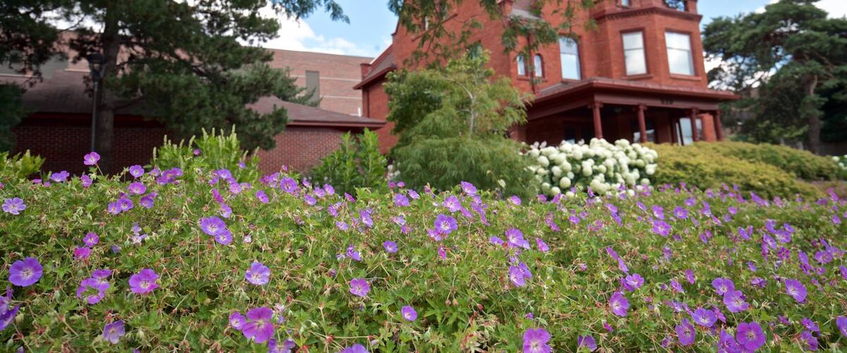 Herrmann House featuring a house and wildflowers