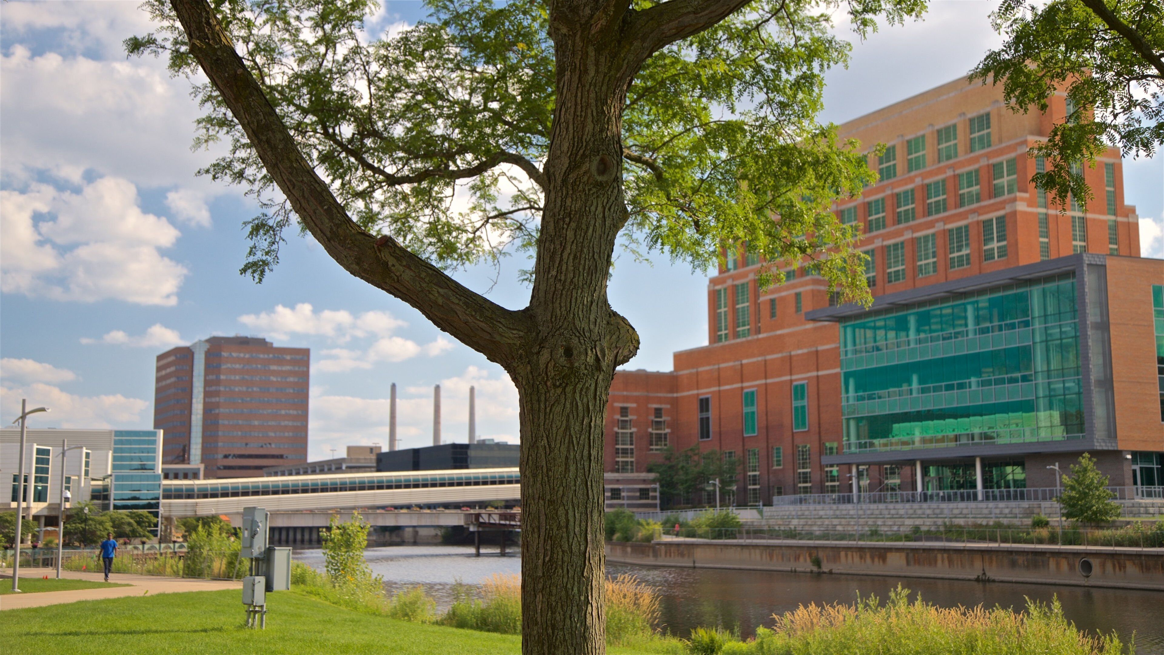 River Trail johon kuuluu silta, puisto ja joki tai puro