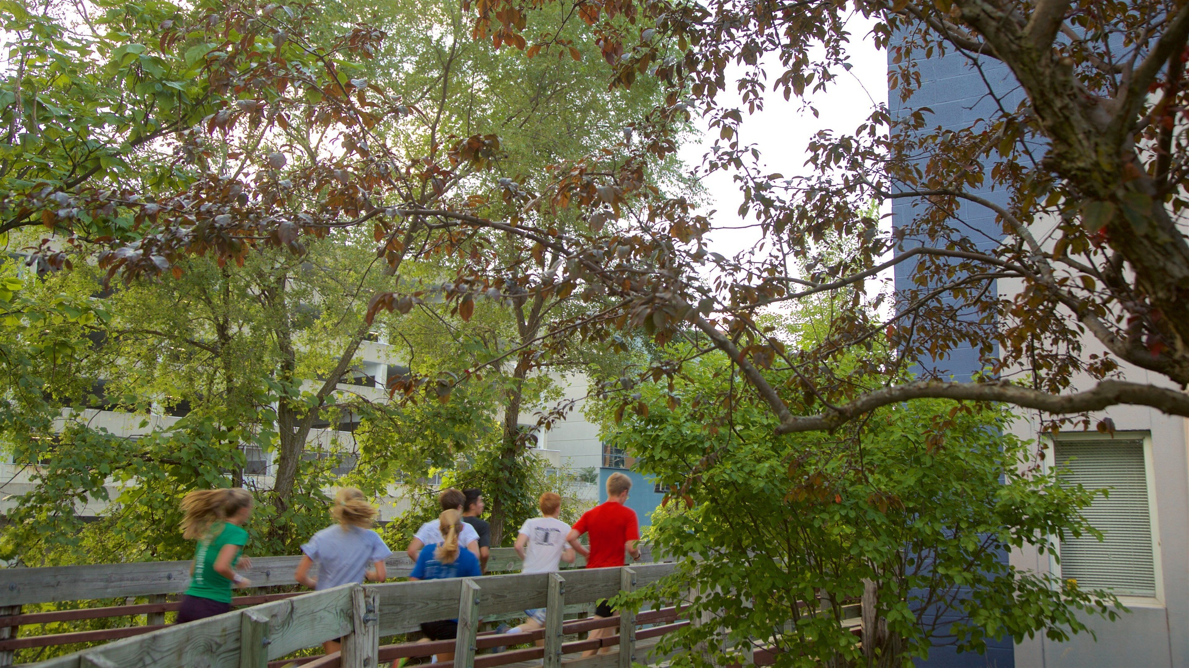 River Trail såvel som en lille gruppe mennesker