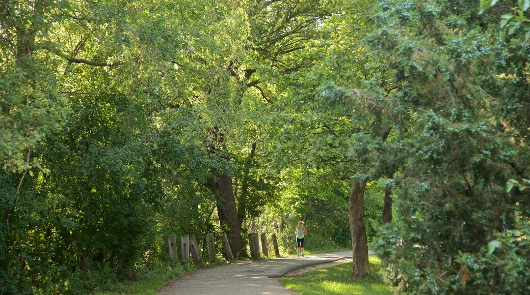 River Trail featuring a garden
