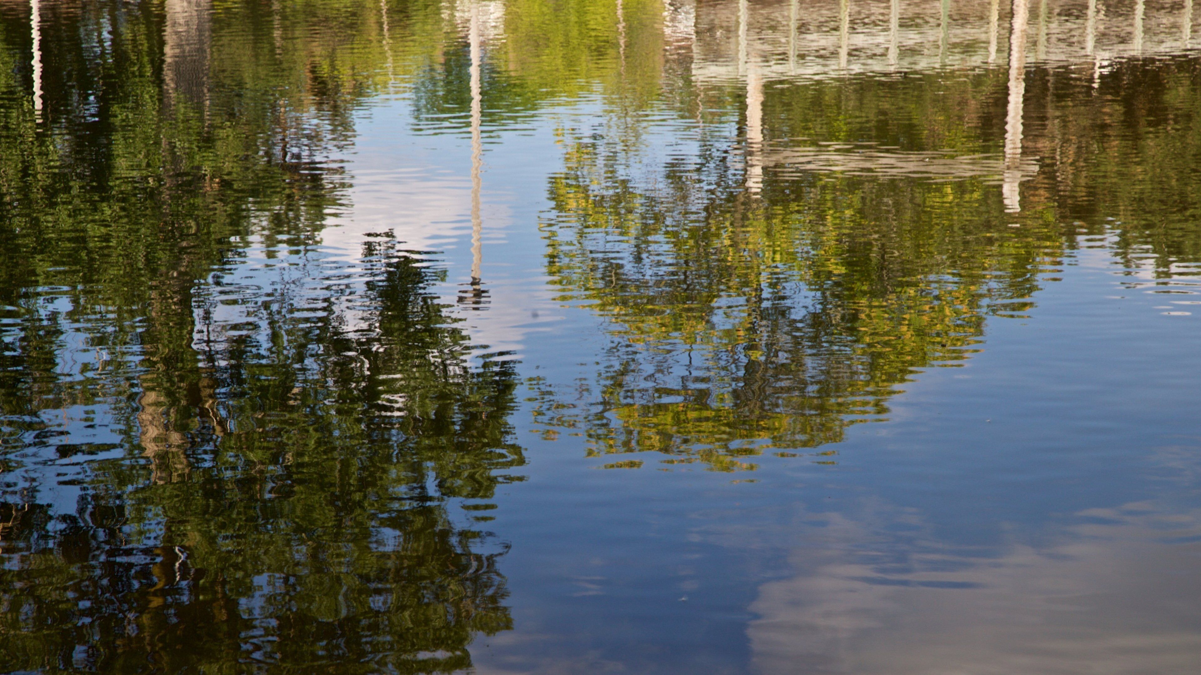 Parque Adado Riverfront que incluye un lago o laguna