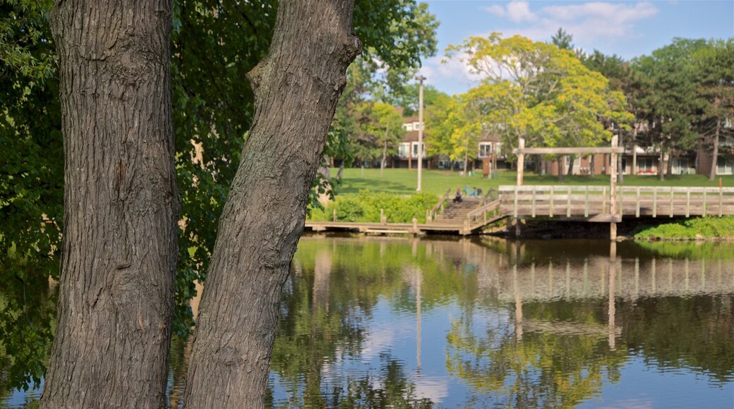 Công viên Ven sông Adado trong đó bao gồm hồ nước