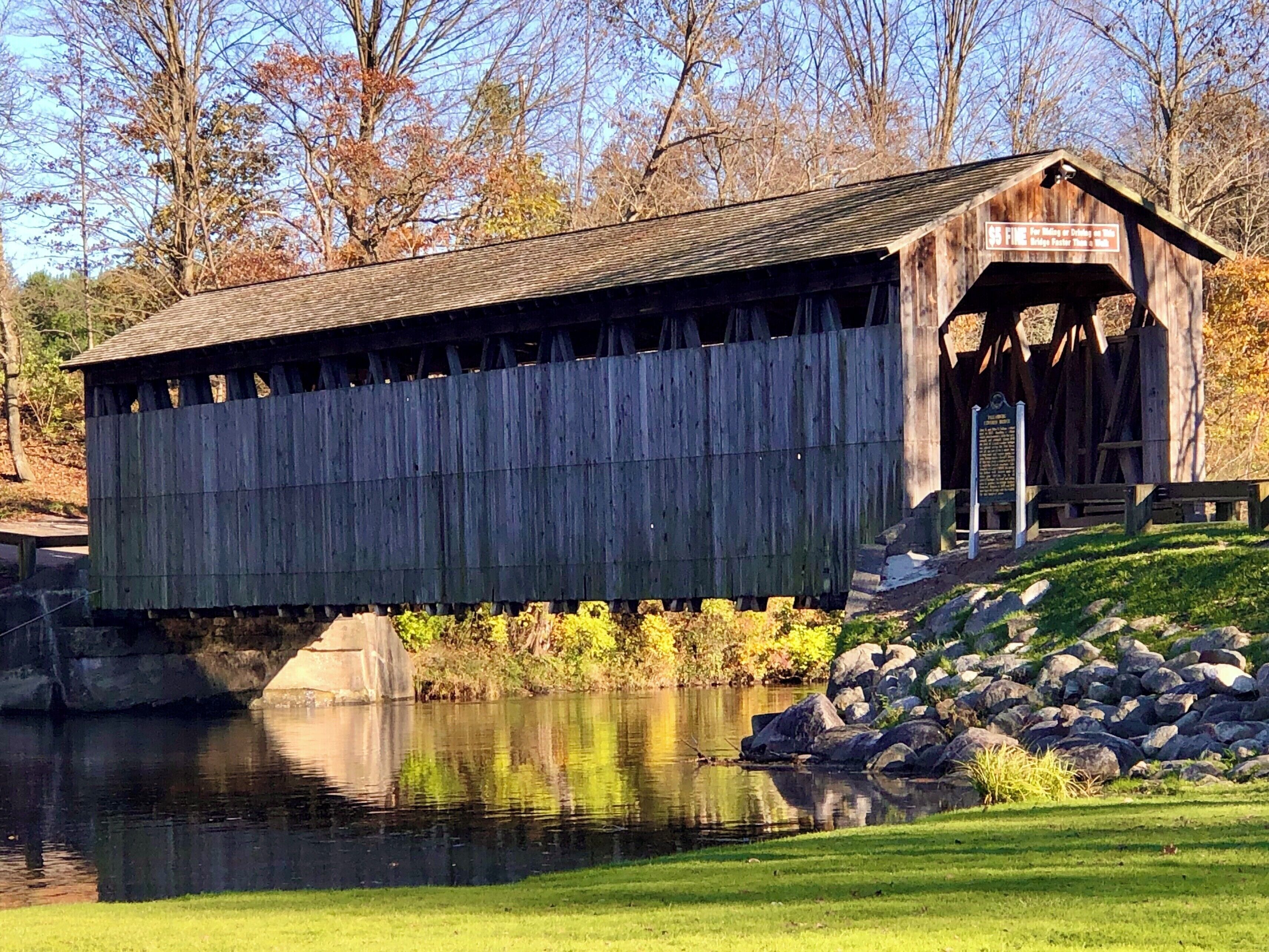 Sun finally came back out!