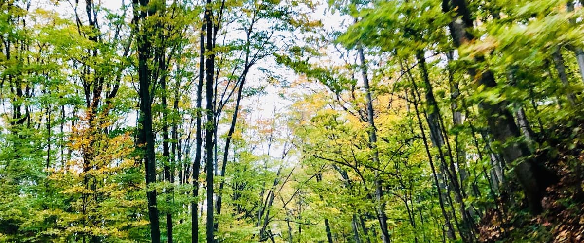 Fall color tour in Northern Michigan. Endless beauty. #OnTheRoad