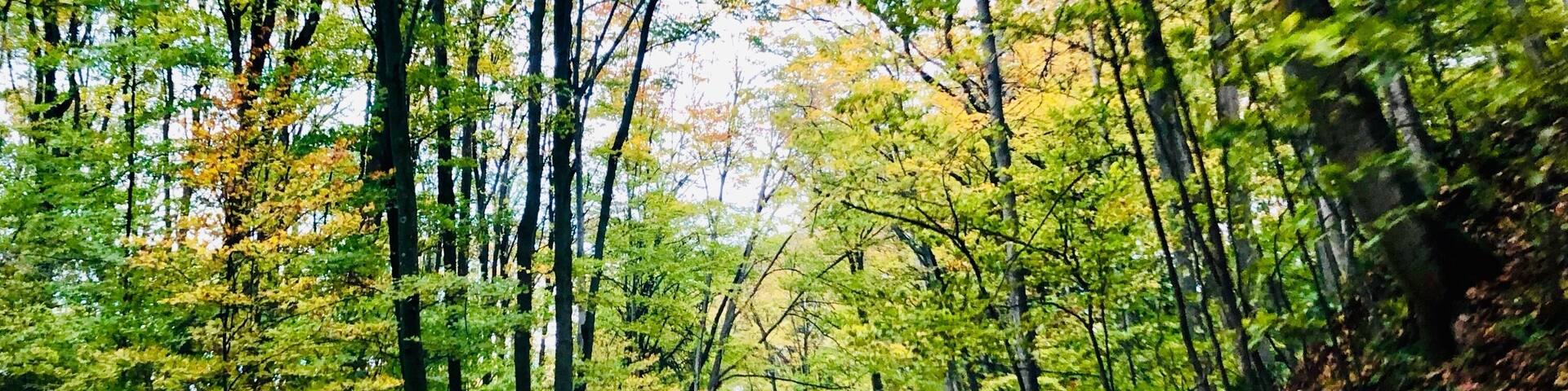 Fall color tour in Northern Michigan. Endless beauty. #OnTheRoad