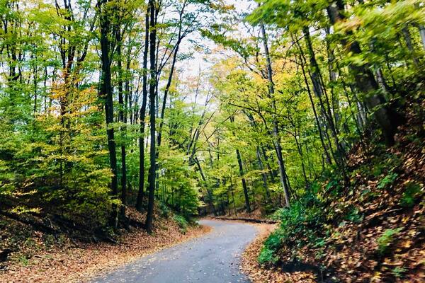 Fall color tour in Northern Michigan. Endless beauty. #OnTheRoad