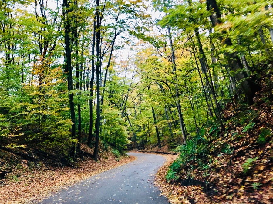 Fall color tour in Northern Michigan. Endless beauty. #OnTheRoad