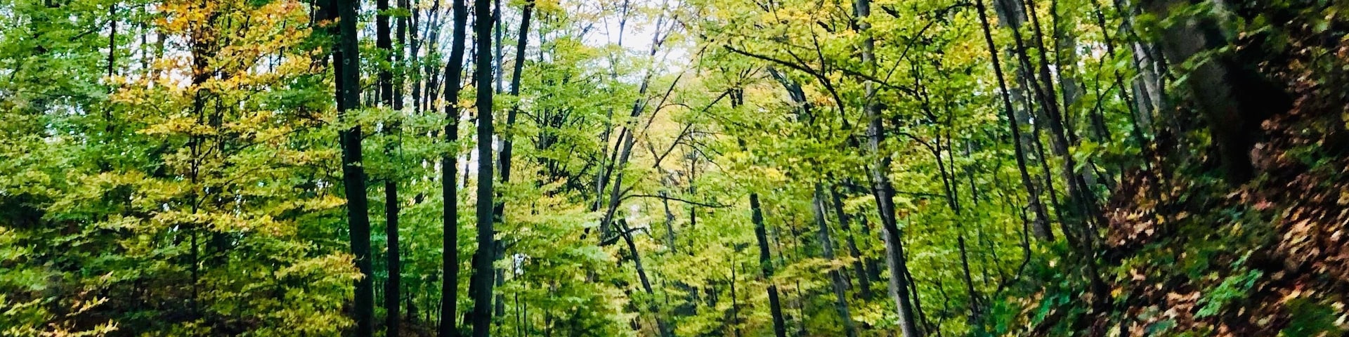 Fall color tour in Northern Michigan. Endless beauty. #OnTheRoad