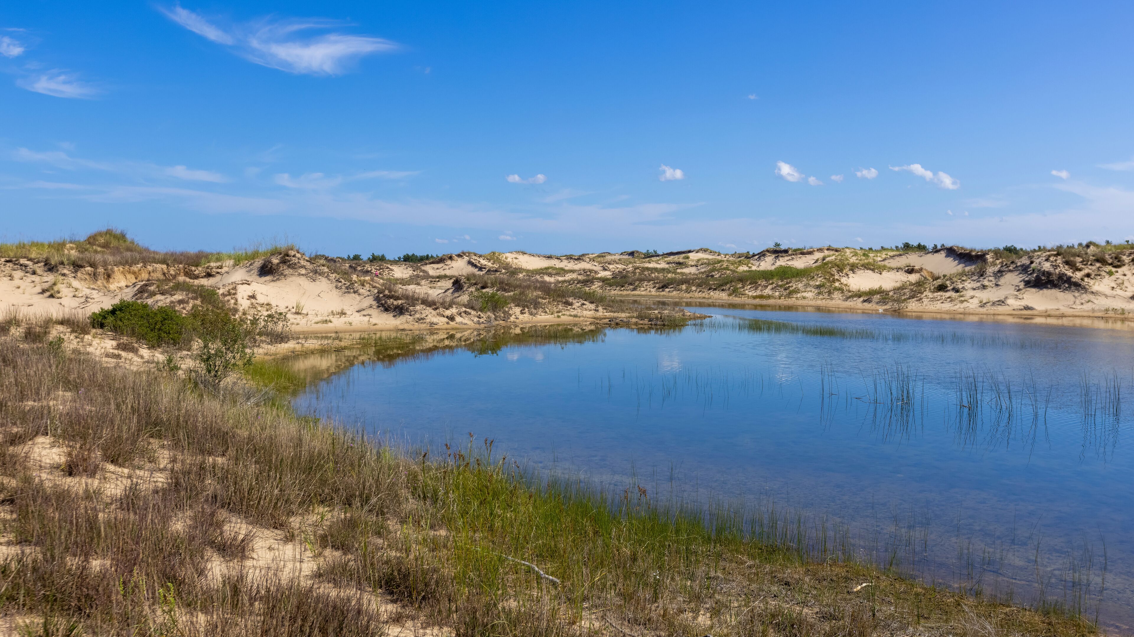Blue water pond in the middle of sand dunes covered with dune grass near Ludington , Michigan