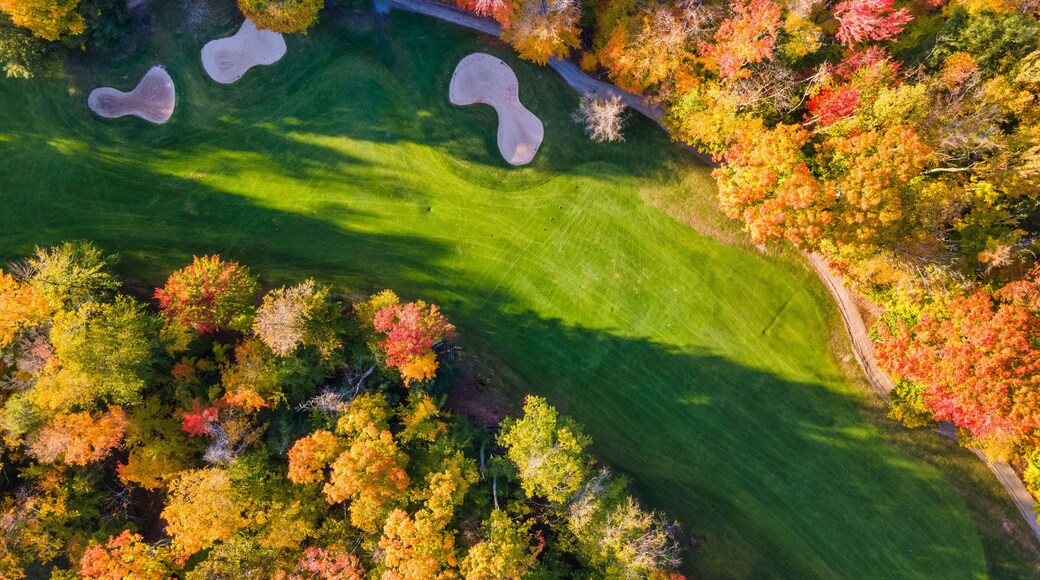 Caberfae Peaks Ski & Golf