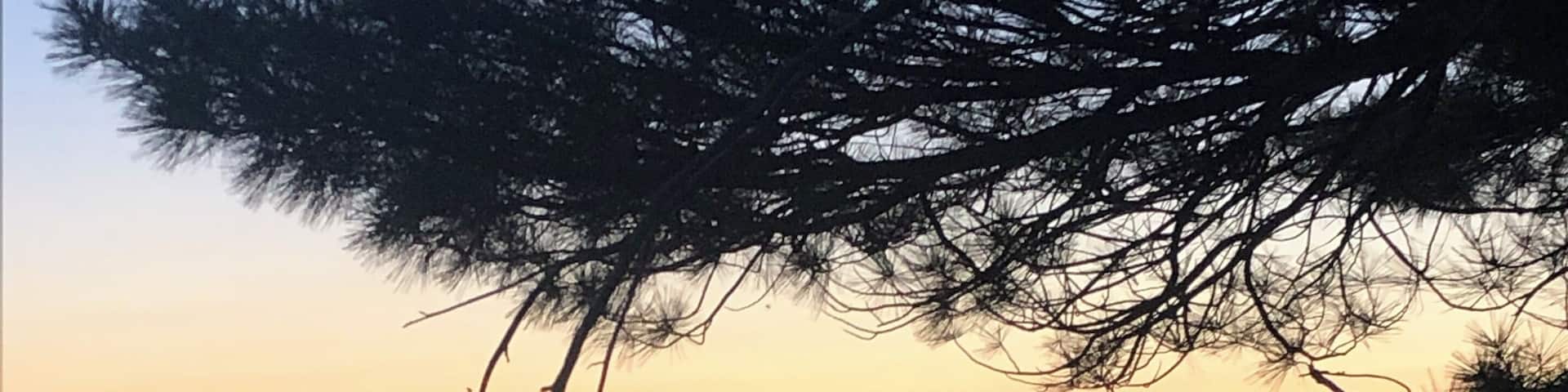 Unbelievable sunset tonight i was blessed to share with my wifey. Stunning views!