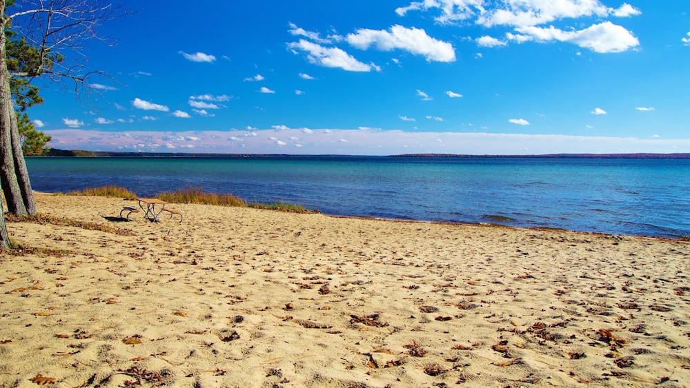 Une plage de sable avec un banc, un arbre et un lac paisible, le tout sous un ciel bleu dégagé.
