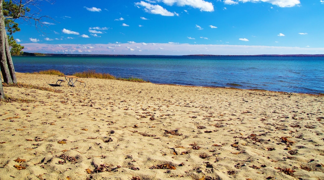 Wide sandy beach and an aquamarine horizon. North Higgins Lake State Park encompasses much of the shore of Higgins Lake; voted the sixth most beautiful lake in the world by National Geographic. ; Shut