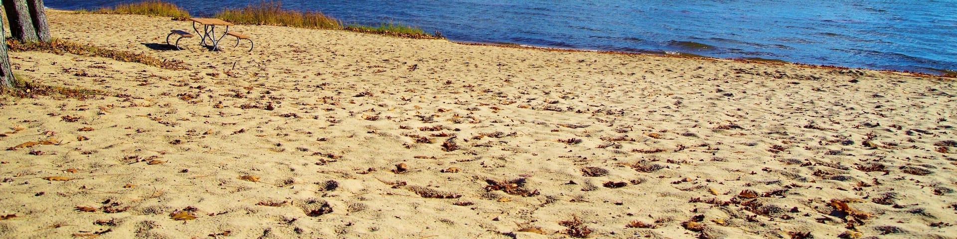Wide sandy beach and an aquamarine horizon. North Higgins Lake State Park encompasses much of the shore of Higgins Lake; voted the sixth most beautiful lake in the world by National Geographic. ; Shut