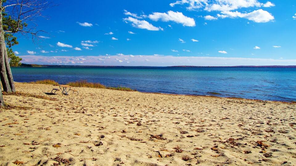 A sandy beach with a bench, a tree, and a calm lake under a clear blue sky.