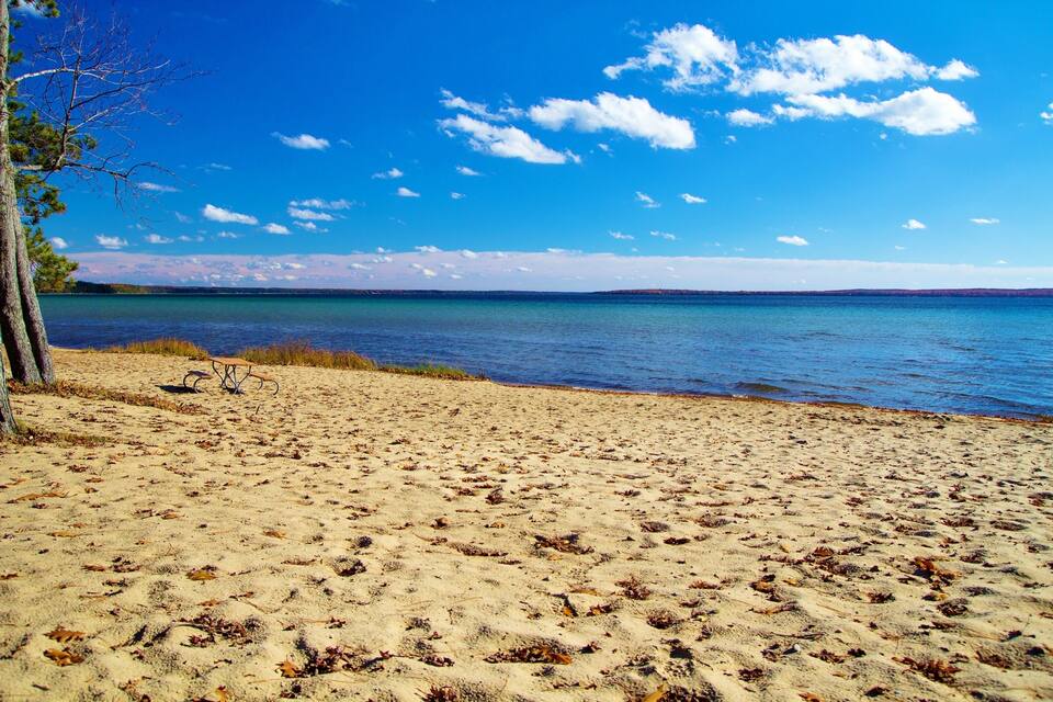 A sandy beach with a bench, a tree, and a calm lake under a clear blue sky.