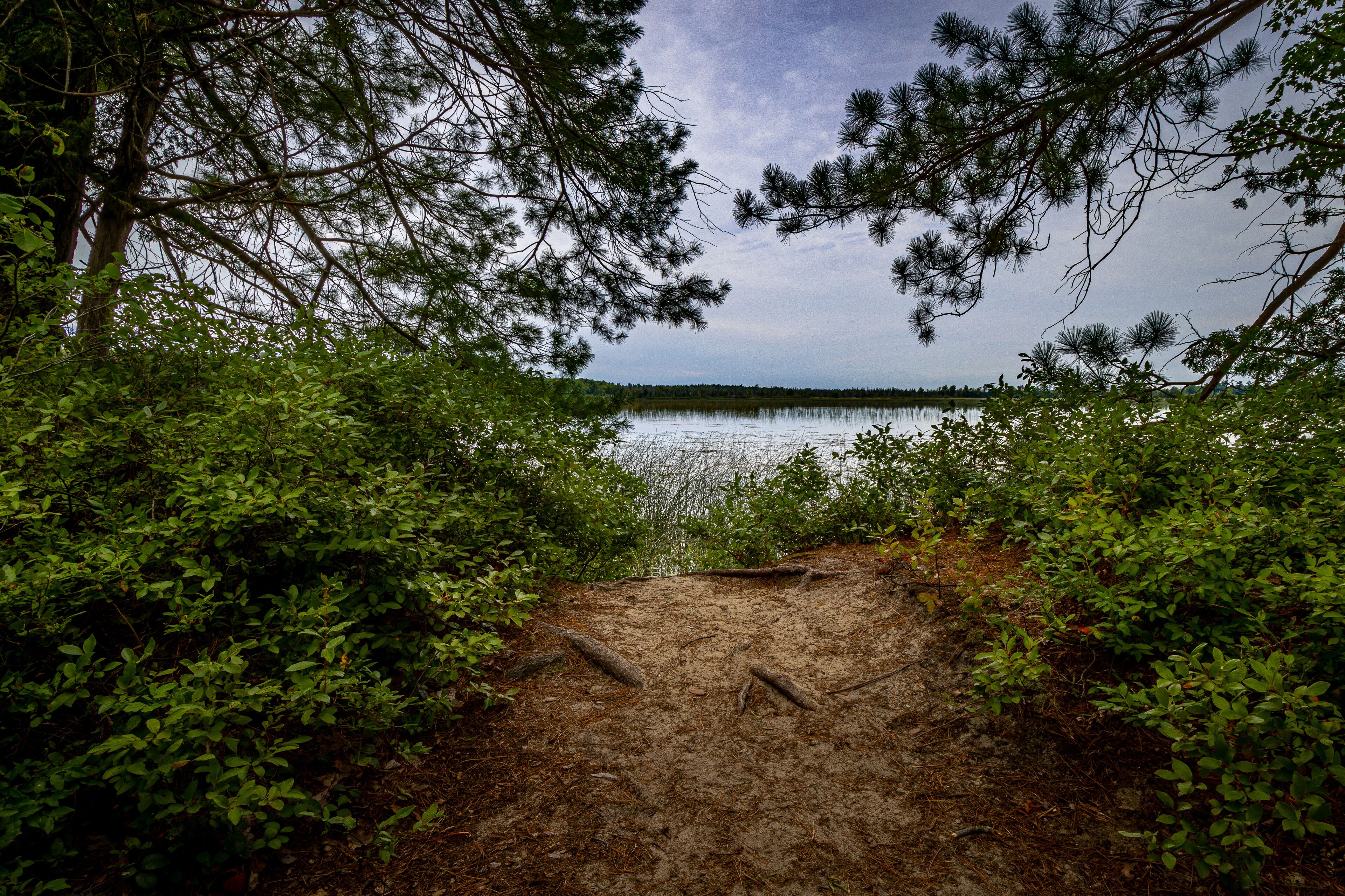 Beautiful Hiking Trail around Marl Lake by South Higgins Lake State Park, Roscommon Michigan