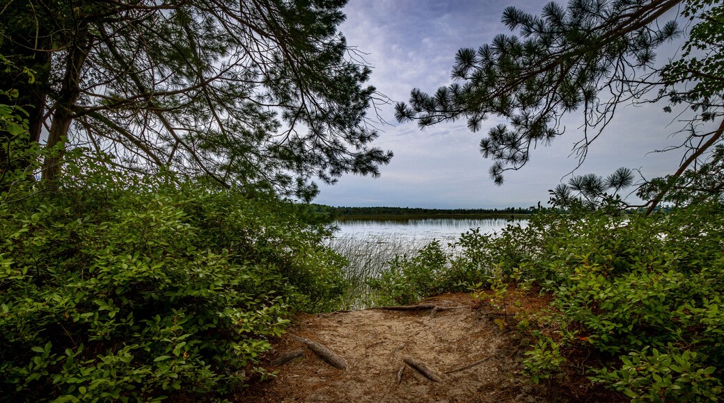 サウス・ヒギンズ湖州立公園