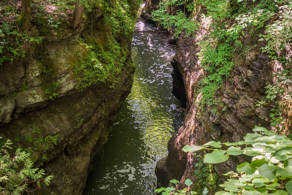 A narrow river flowing through a forested gorge with moss-covered rocks and dense foliage.