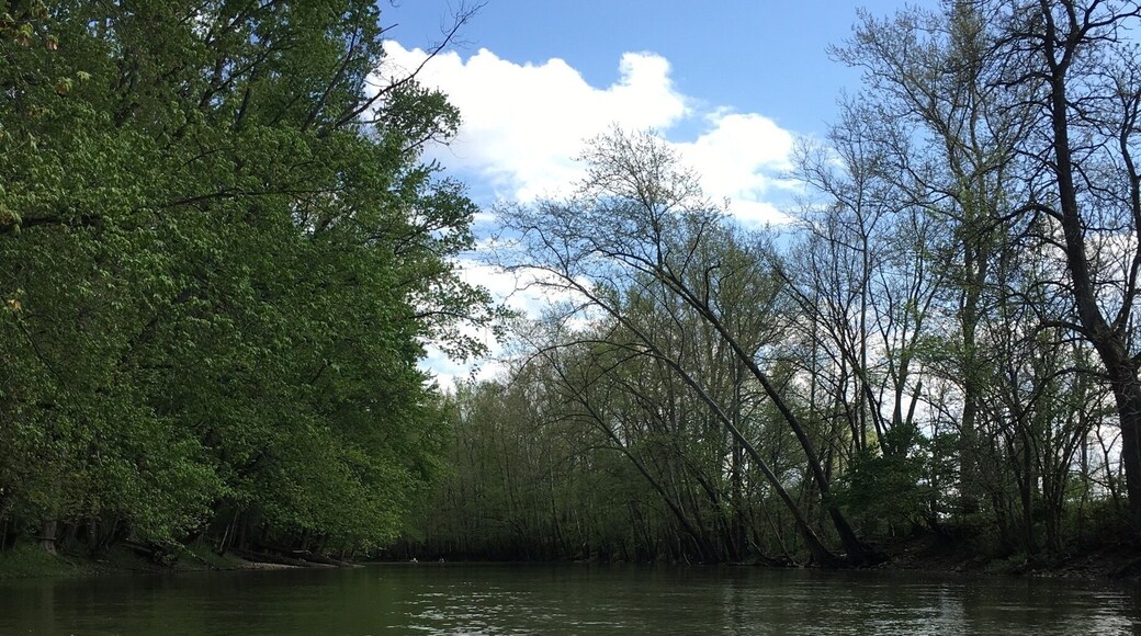 Kayaking down Big Darby Creek river. Always fun and peaceful at the same time.
#kayaking