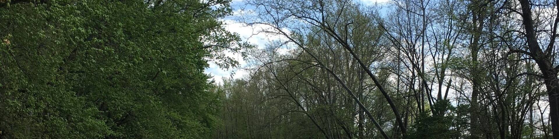 Kayaking down Big Darby Creek river. Always fun and peaceful at the same time.
#kayaking