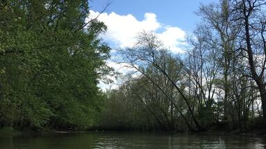 Kayaking down Big Darby Creek river. Always fun and peaceful at the same time.
#kayaking