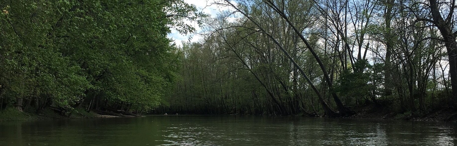 Kayaking down Big Darby Creek river. Always fun and peaceful at the same time.
#kayaking