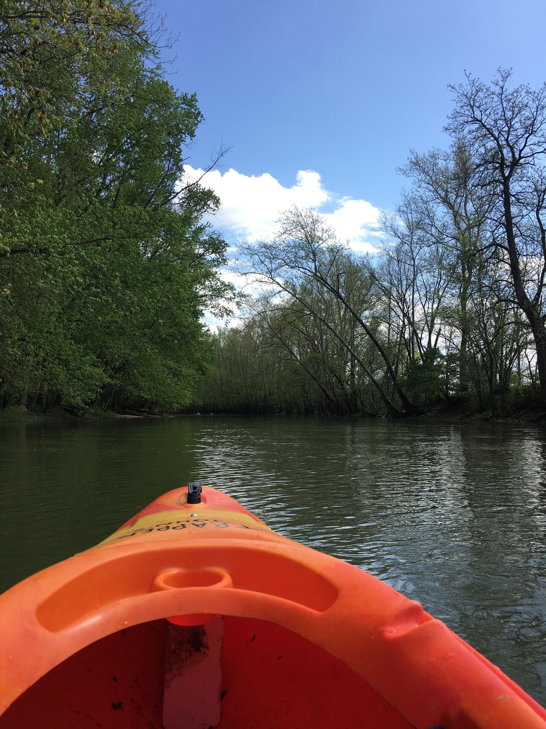 A river with a kayak, surrounded by trees.