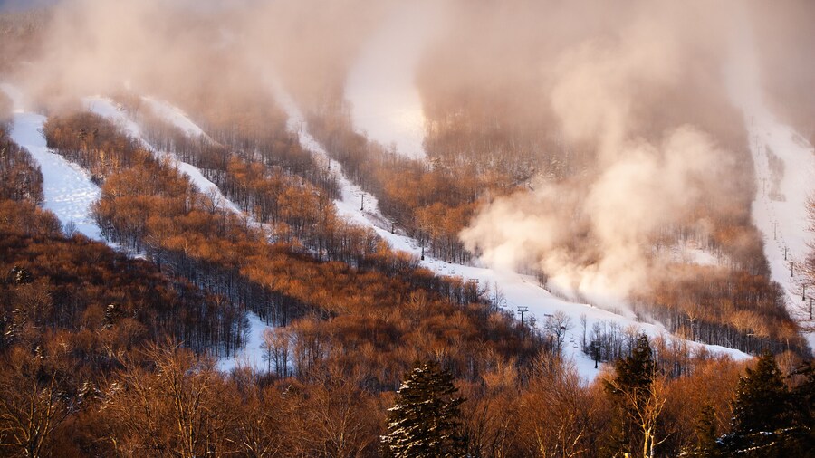 Ski trails at Mt. Mansfield, Stowe Mountain Resort, Stowe, Vermont