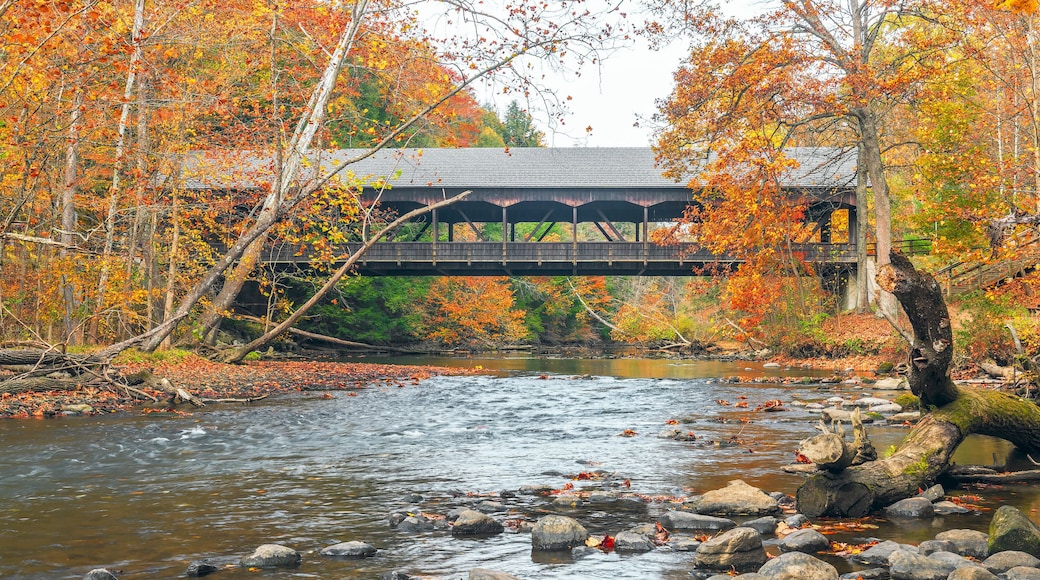 Mohican delstatspark