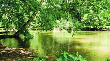One of the many amazingly scenic spots in the Mohican State Park located in Perrysville, OH. You could easily spend an entire week here and still not see everything!