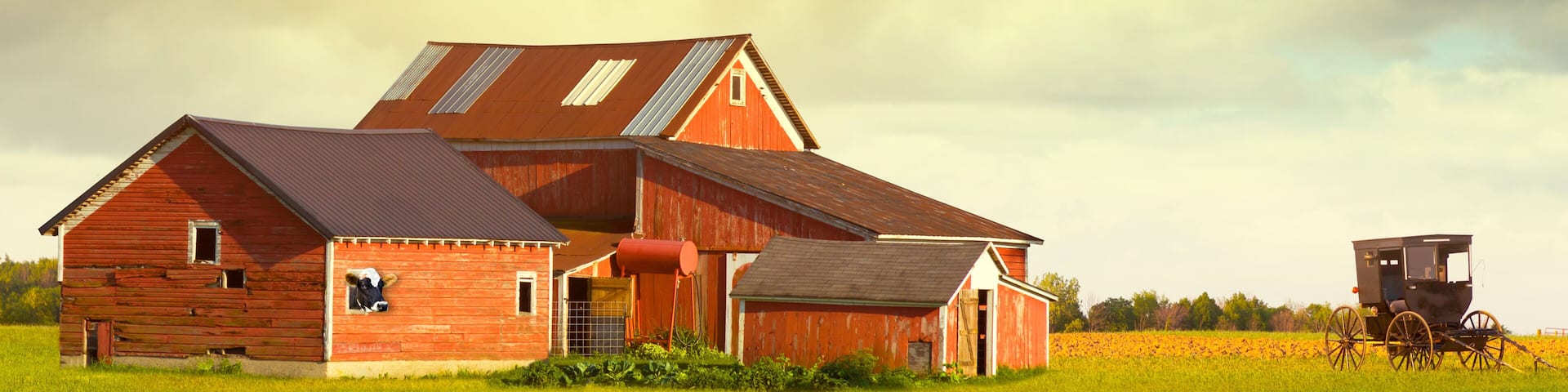 Pennsylvania Farmland With Rainy Sky