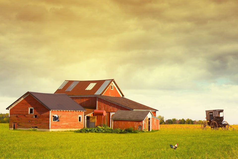 A red barn with a silo and a carriage in a green field.