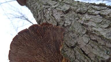 Hike often. Hike slowly. Look up.
The wilderness center in Wilmot, OH, offers a number of trails through various landscapes and terrains.
#FindingtheUniverse