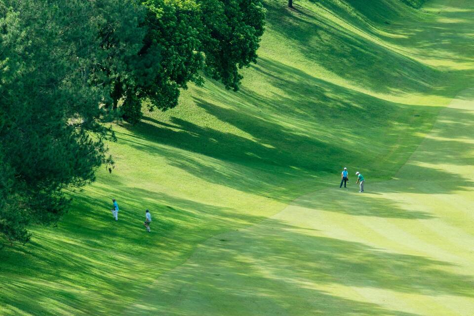 Um campo de golfe com uma árvore grande à esquerda e pessoas jogando.